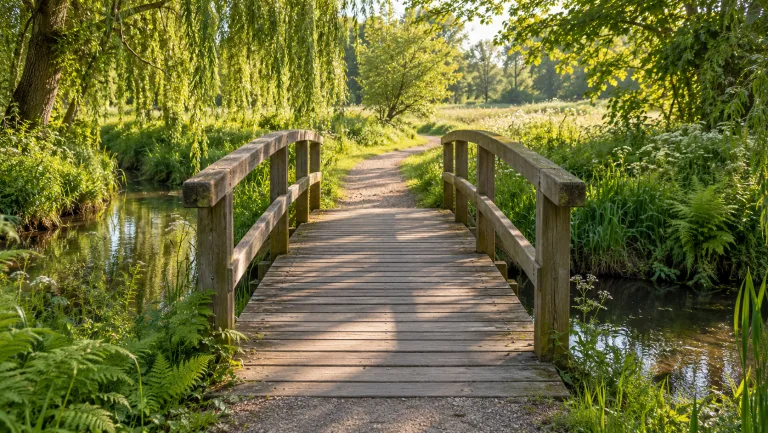 Een houten brug leidt naar een zonnig pad door het groen